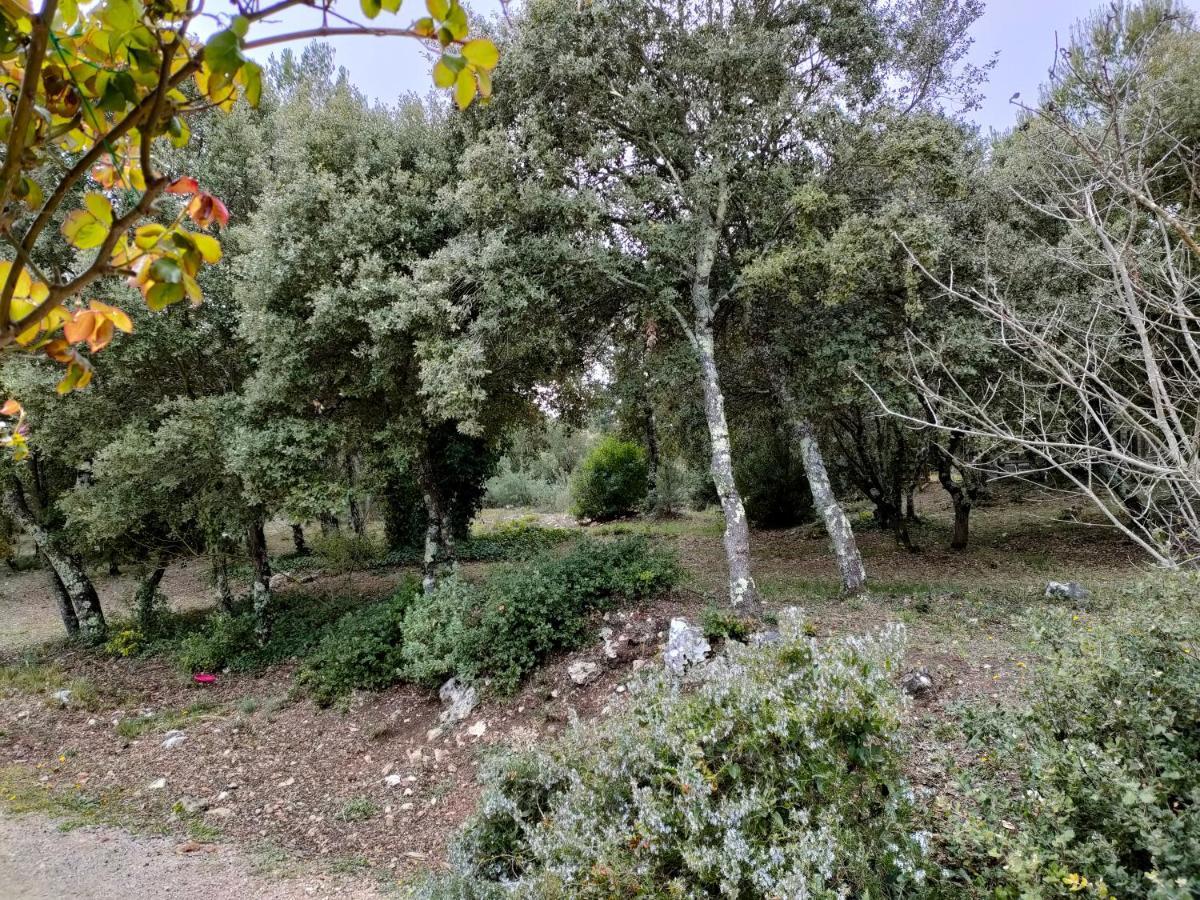 סילאן-לה-קסקאד O'Fildl'Eau Gite מראה חיצוני תמונה
